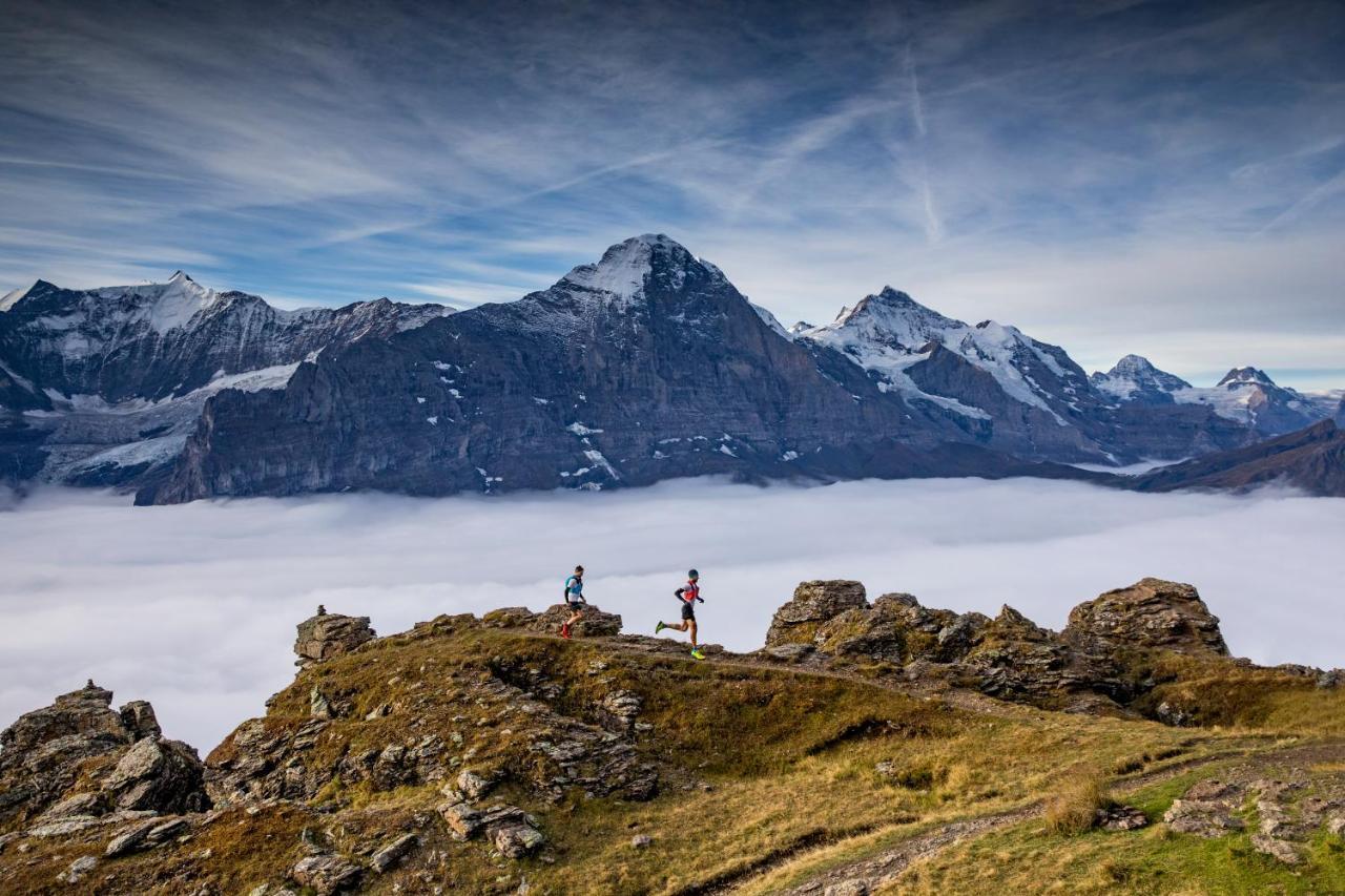 Lauberhorn Hotel กรินเดลวัลด์ ภายนอก รูปภาพ