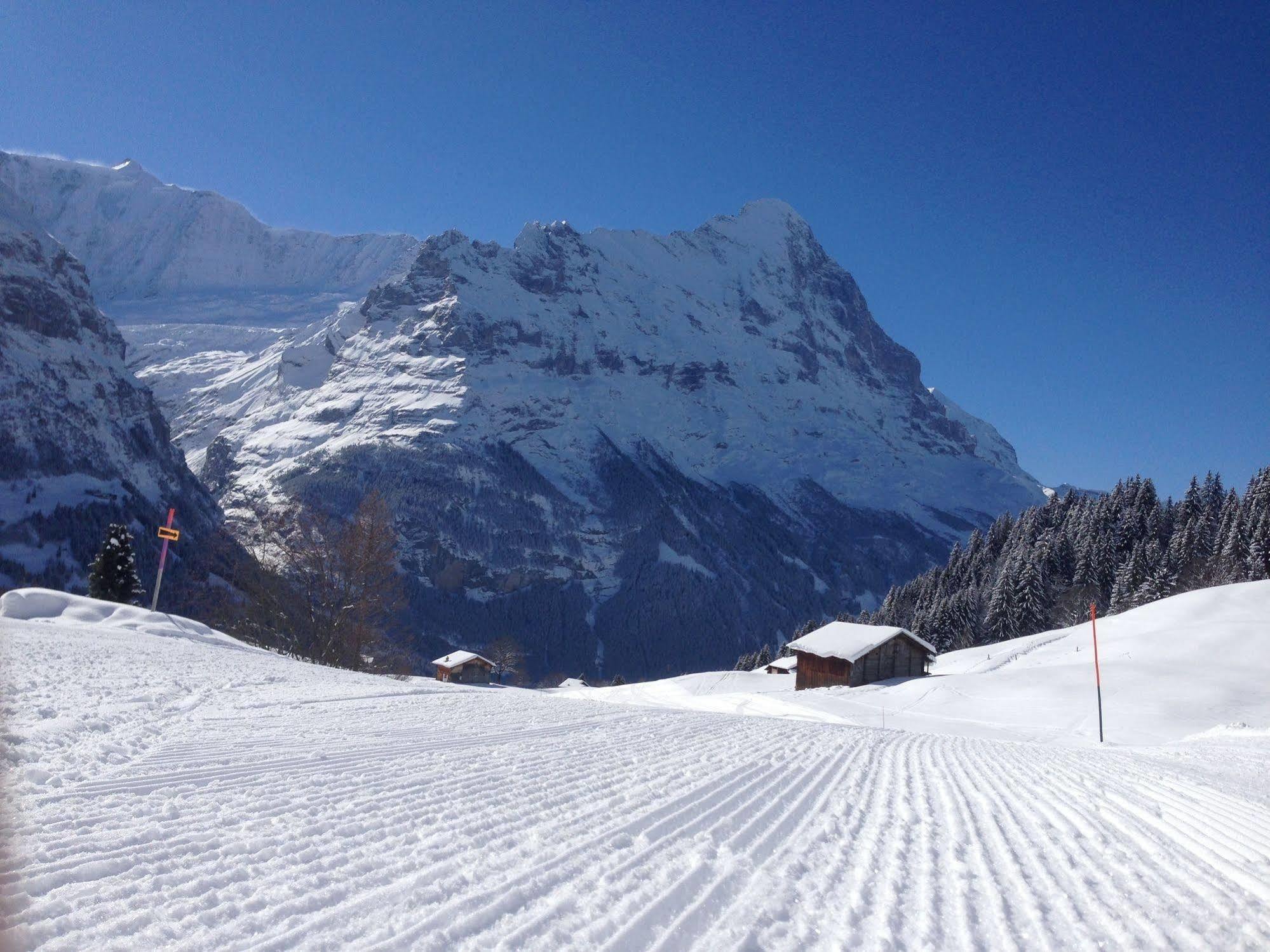 Lauberhorn Hotel กรินเดลวัลด์ ภายนอก รูปภาพ